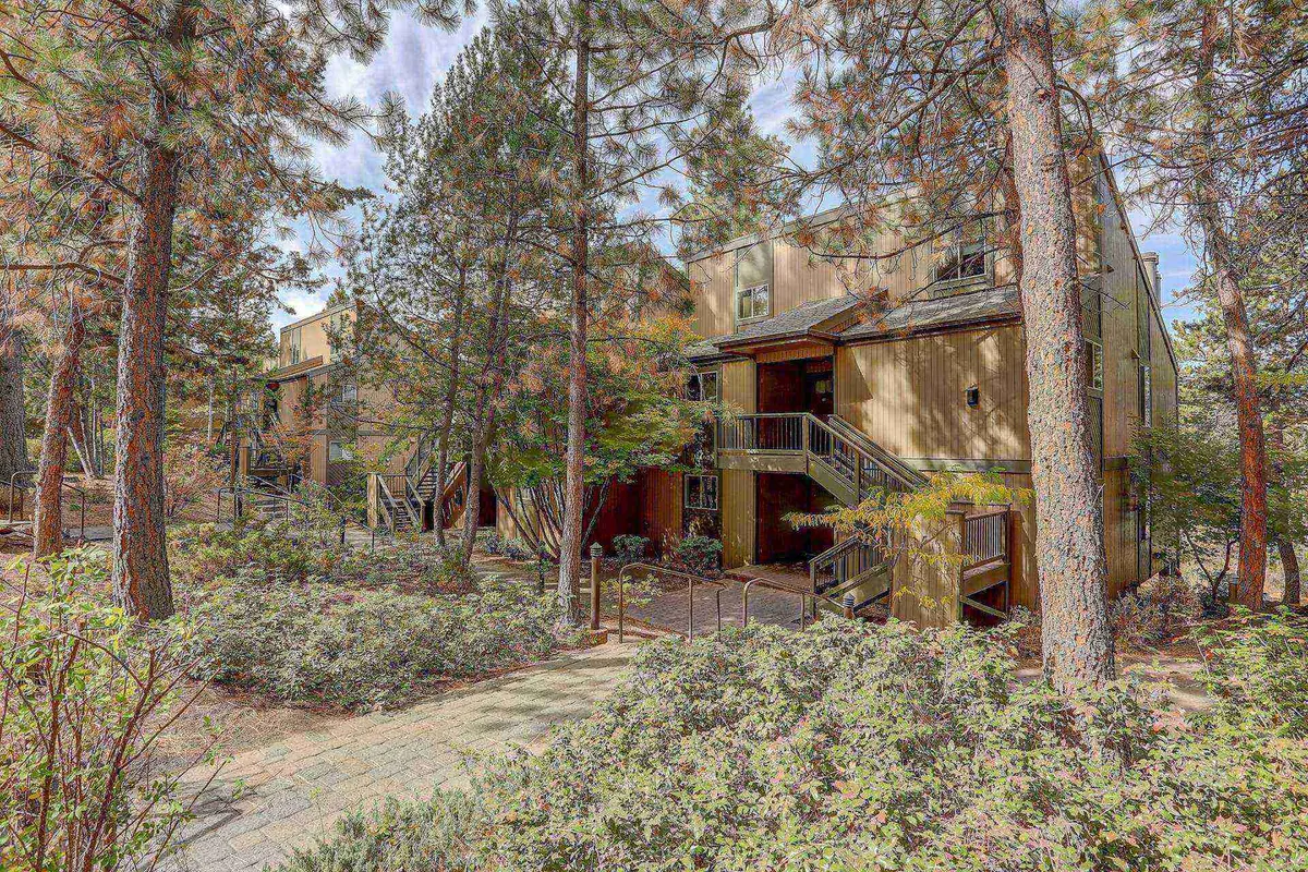 The building’s wooden exterior stairway is nestled in a grove of mature trees, with pathways inviting exploration and balconies peeking through the leaves. The tranquil setting bridges the comfort of home with the natural world outside.
